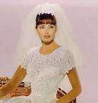 Bridal Lace - Organza Lace Organza Lace