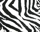 Anatol's Print Gallery - Anatol's Animals Anatol's Animals