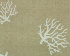 Anatol's Print Gallery - Anatol's Undersea Corals Anatol's Undersea Corals