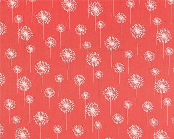 Small Dandelion Coral/White