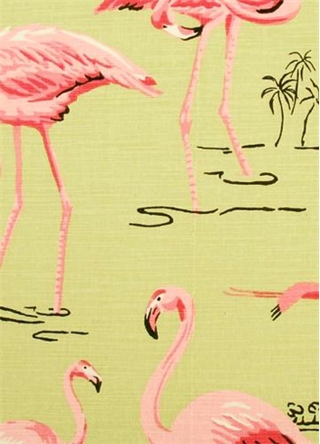 Flamingos Bermuda 411