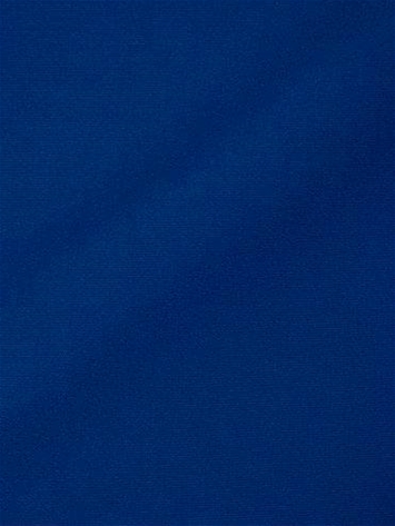 SUNBRELLA PLUS - Atlantic Blue Canvas