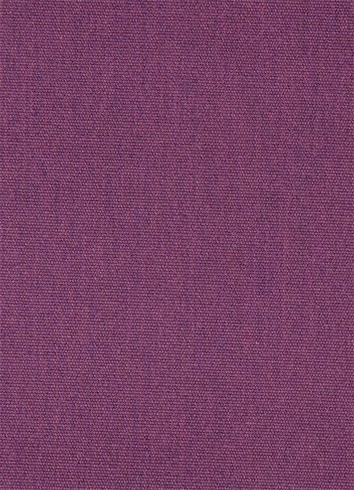 Canvas 57002 Iris