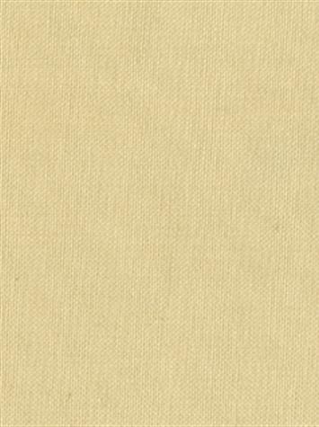 KANVASTEX 115 OLD IVORY Canvas Fabric