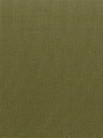 PEBBLETEX 223 SAGE GREEN Canvas Fabric