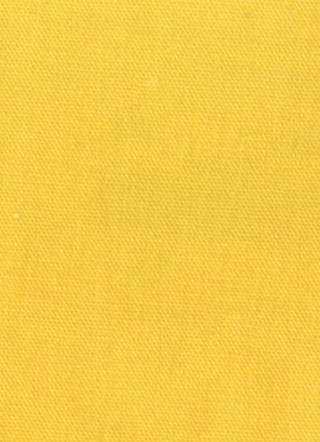 SPINNAKER yellow