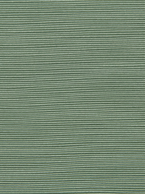 LUCY RIBBED BERMUDA