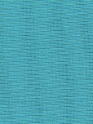 CANVAS DUCK TURQUOISE