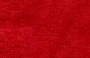 Red Silk Dupioni Fabric