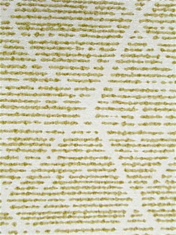 M11348 Sunshine Barrow Fabric 
