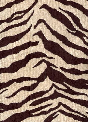 Animal Print Tiger