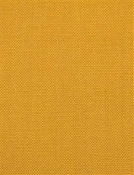 Barry Mustard - Performance Canvas