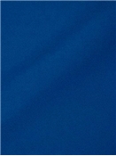 Canvas Cobalt Sunbrella fabric