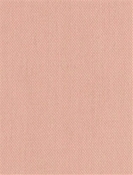 Redford 7 Blush Canvas