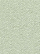 Veneer Celadon SU15950 24 Duralee Fabric 