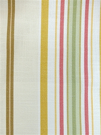 Dorchester 382 Summer Covington Fabric