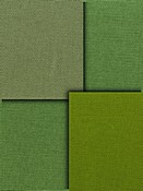 Green Canvas Fabric