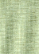 32850 24 Celadon Duralee Fabric
