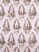 Agave Java Lacefield Designs