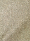 Appeal Ale Metallic Fabric