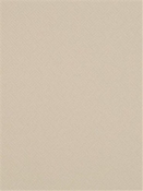 Madcap Cottage Beach Club Twine Robert Allen