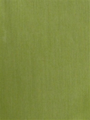 Biscayne Bay Peridot Barrow Fabric 