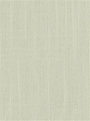 Blarney 104 Vanilla Covington Fabric