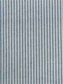 Baldwin Bluebird P. Kaufmann Ticking Fabric 