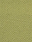 Barry Artichoke – Performance Canvas
