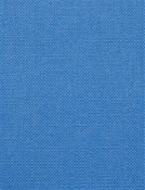 Barry Bluebird - Performance Canvas