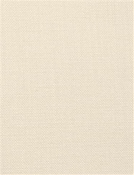 Barry Bone - Performance Canvas
