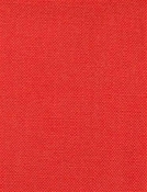 Barry Coral - Performance Canvas