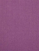 Barry Grape - Performance Canvas