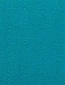 Barry Morrocan Blue - Performance Canvas