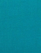 Barry Morrocan Blue - Performance Canvas