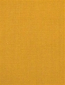 Barry Mustard - Performance Canvas