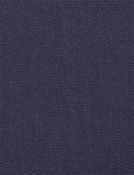 Barry Navy - Performance Canvas