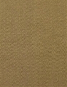 Barry Pecan - Performance Canvas