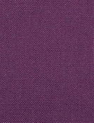 Barry Purple - Performance Canvas
