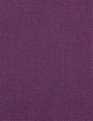 Barry Purple - Performance Canvas