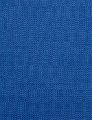Barry Royal - Performance Canvas