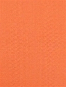 Barry Serandite - Performance Canvas