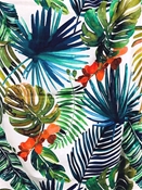 Biscayne Tropical Fabric
