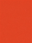 Bleeker MARASCHINO Kate Spde