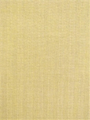 Sunbrella Boss Tweed Maize