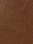Chaparro Creek Mitchell Vinyl