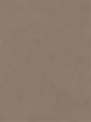 Counterpoint 11106 Barrow Fabric
