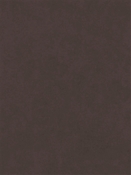 Counterpoint 12208 Barrow Fabric