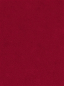 Counterpoint 31601 Barrow Fabric