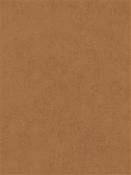 Counterpoint 41305 Barrow Fabric